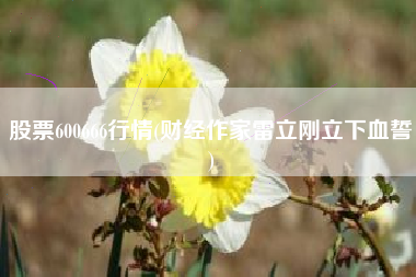 股票600666行情(财经作家雷立刚立下血誓)