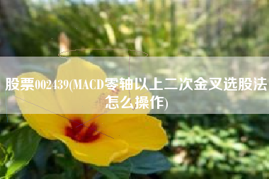 股票002439(MACD零轴以上二次金叉选股法怎么操作)