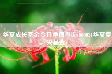 华夏成长基金今日净值查询(000031华夏复兴基金)