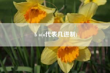 b o(o代表几进制)