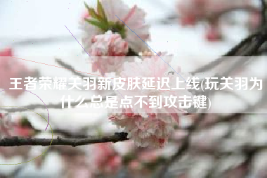 王者荣耀关羽新皮肤延迟上线(玩关羽为什么总是点不到攻击键)