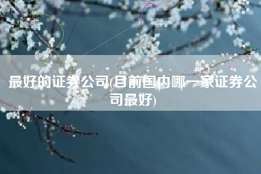 最好的证券公司(目前国内哪一家证券公司最好)