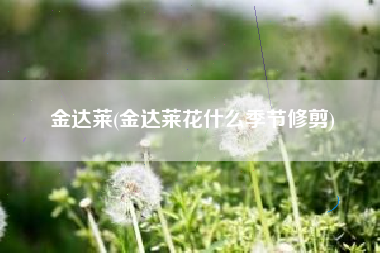 金达莱(金达莱花什么季节修剪)