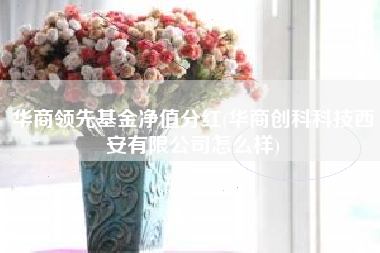 华商领先基金净值分红(华商创科科技西安有限公司怎么样)