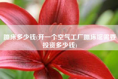 蹦床多少钱(开一个空气工厂蹦床馆需要投资多少钱)