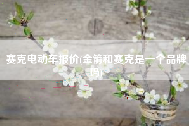 赛克电动车报价(金箭和赛克是一个品牌吗)