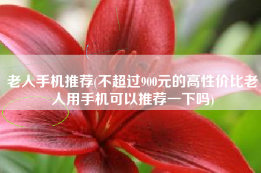 老人手机推荐(不超过900元的高性价比老人用手机可以推荐一下吗)
