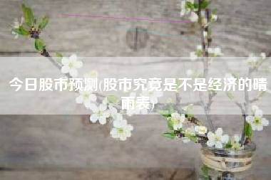 今日股市预测(股市究竟是不是经济的晴雨表)