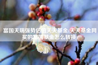富国天瑞强势估值天天基金(天天基金网买的富国基金怎么转换)