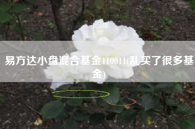 易方达小盘混合基金110011(乱买了很多基金)