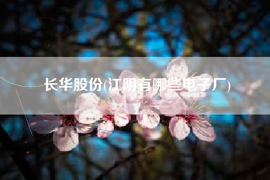 长华股份(江阴有哪些电子厂)