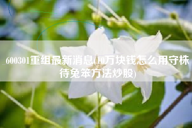 600301重组最新消息(10万块钱怎么用守株待兔笨方法炒股)