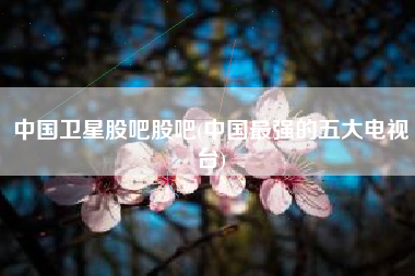 中国卫星股吧股吧(中国最强的五大电视台)