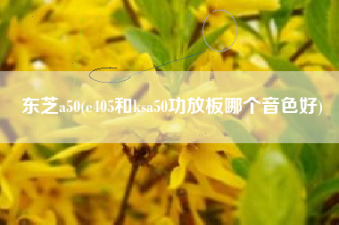 东芝a50(e405和ksa50功放板哪个音色好)