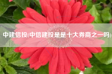 中建信投(中信建投是是十大券商之一吗)