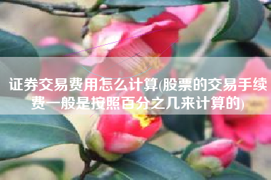 证券交易费用怎么计算(股票的交易手续费一般是按照百分之几来计算的)