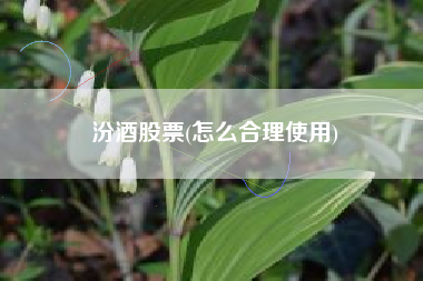 汾酒股票(怎么合理使用)