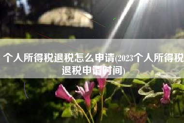 个人所得税退税怎么申请(2023个人所得税退税申请时间)