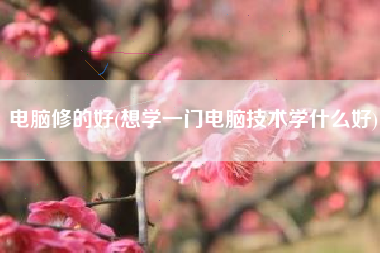 电脑修的好(想学一门电脑技术学什么好)
