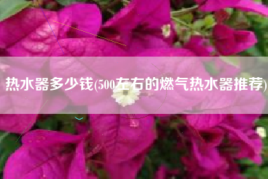 热水器多少钱(500左右的燃气热水器推荐)