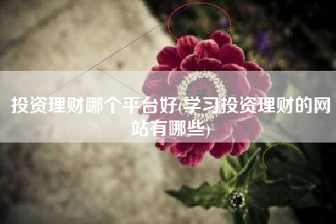 投资理财哪个平台好(学习投资理财的网站有哪些)
