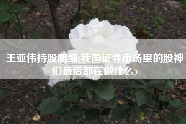 王亚伟持股明细(我国证券市场里的股神们最后都在做什么)
