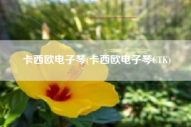 卡西欧电子琴(卡西欧电子琴CTK)