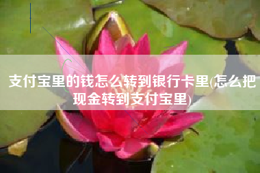 支付宝里的钱怎么转到银行卡里(怎么把现金转到支付宝里)