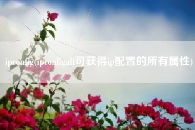 ipconfig(ipconfigall可获得ip配置的所有属性)