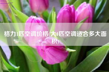 格力1匹空调价格(大1匹空调适合多大面积)