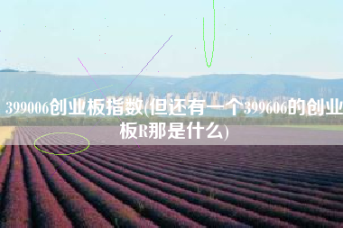 399006创业板指数(但还有一个399606的创业板R那是什么)