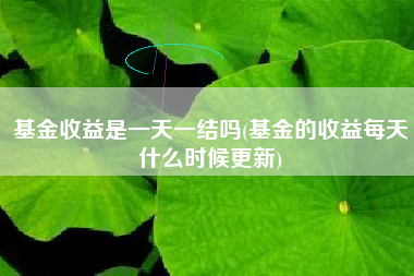 基金收益是一天一结吗(基金的收益每天什么时候更新)