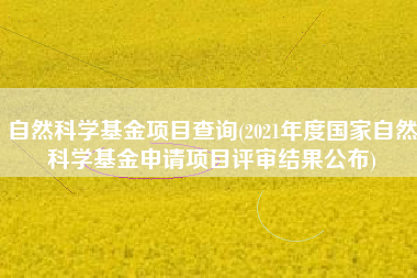 自然科学基金项目查询(2021年度国家自然科学基金申请项目评审结果公布)