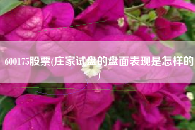 详细阅读:600175股票(庄家试盘的盘面表现是怎样的) 600175股票(庄家试盘的盘面表现是怎样的)