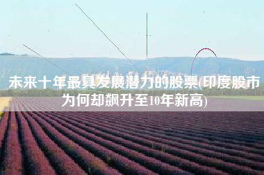 未来十年最具发展潜力的股票(印度股市为何却飙升至10年新高)