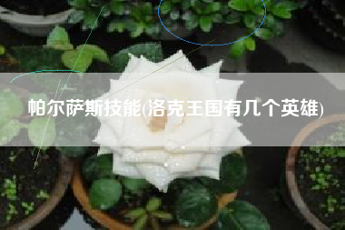 帕尔萨斯技能(洛克王国有几个英雄)