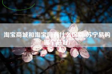 淘宝商城和淘宝网有什么区别(苏宁易购哪个最好)
