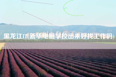 黑龙江IT(新华电脑学校出来好找工作吗)
