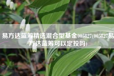 易方达蓝筹精选混合型基金005827(005827易方达蓝筹可以定投吗)