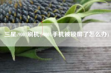 三星i9001刷机(i9001手机被锁屏了怎么办)