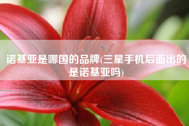 诺基亚是哪国的品牌(三星手机后面出的是诺基亚吗)