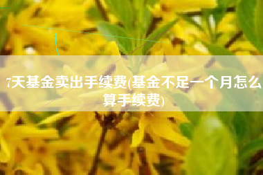 7天基金卖出手续费(基金不足一个月怎么算手续费)