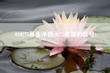 010275基金净值(0275是哪的区号)