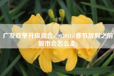 广发双擎升级混合a(005911)(春节放假之前股市会怎么走)