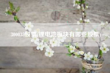 300035股票(锂电池板块有哪些股票)