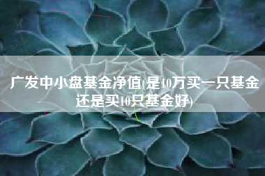广发中小盘基金净值(是10万买一只基金还是买10只基金好)