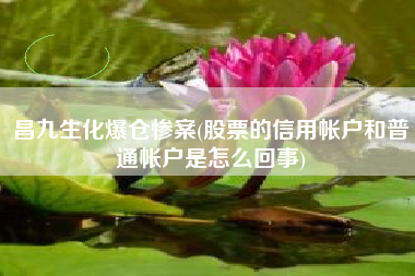 昌九生化爆仓惨案(股票的信用帐户和普通帐户是怎么回事)