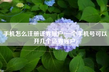手机怎么注册证券账户(一个手机号可以开几个证券账户)
