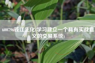 600796钱江生化(学习建立一个具有实战意义的交易系统)