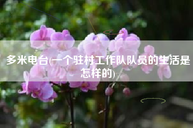 多米电台(一个驻村工作队队员的生活是怎样的)